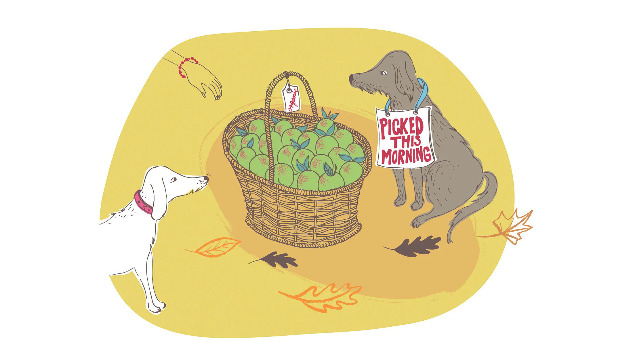 Browse artist portfolios and workbooks