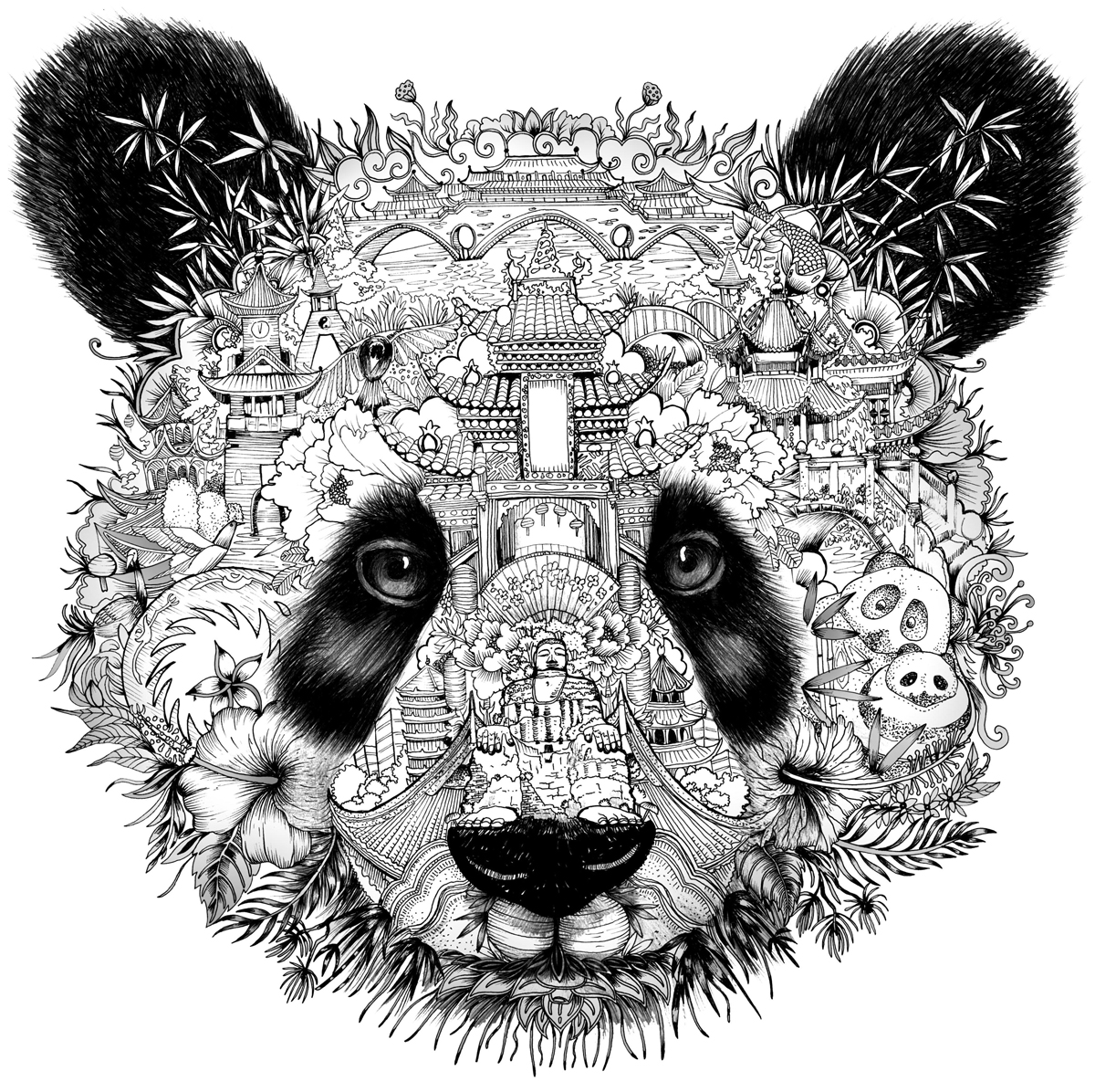 Browse artist portfolios and workbooks