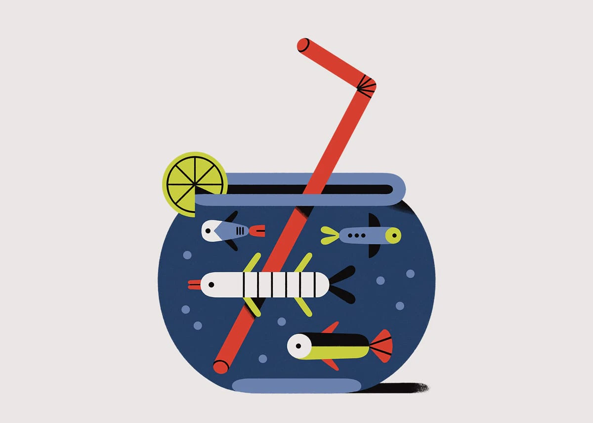 Browse artist portfolios and workbooks