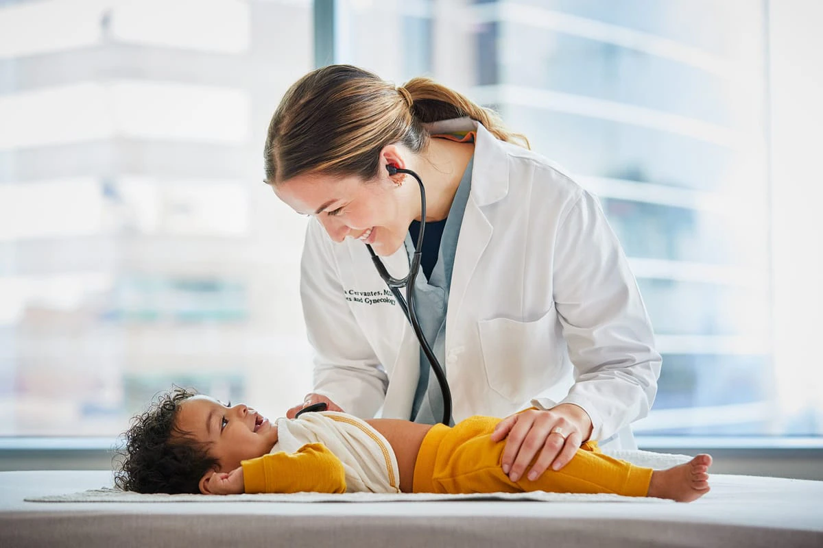 Browse artist portfolios and workbooks